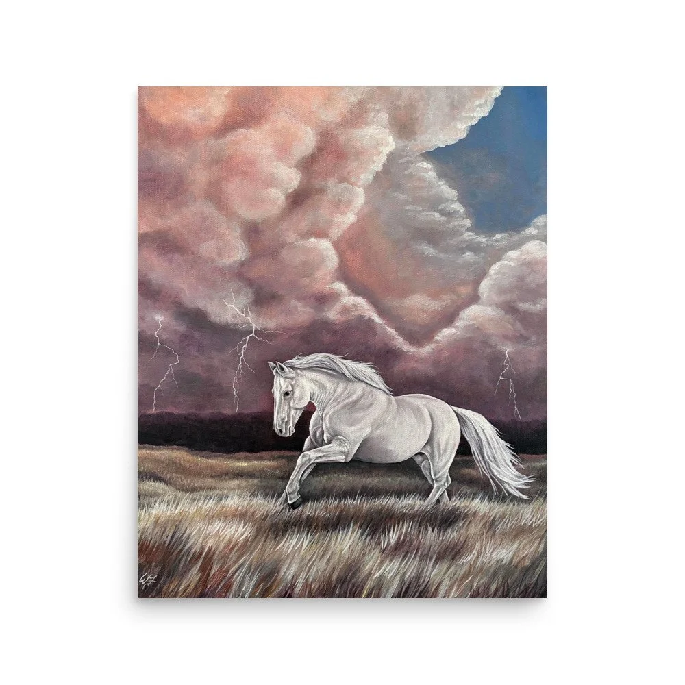 enhanced-matte-paper-poster-(in)-16x20-front-6a6ba28aa08b2.jpg