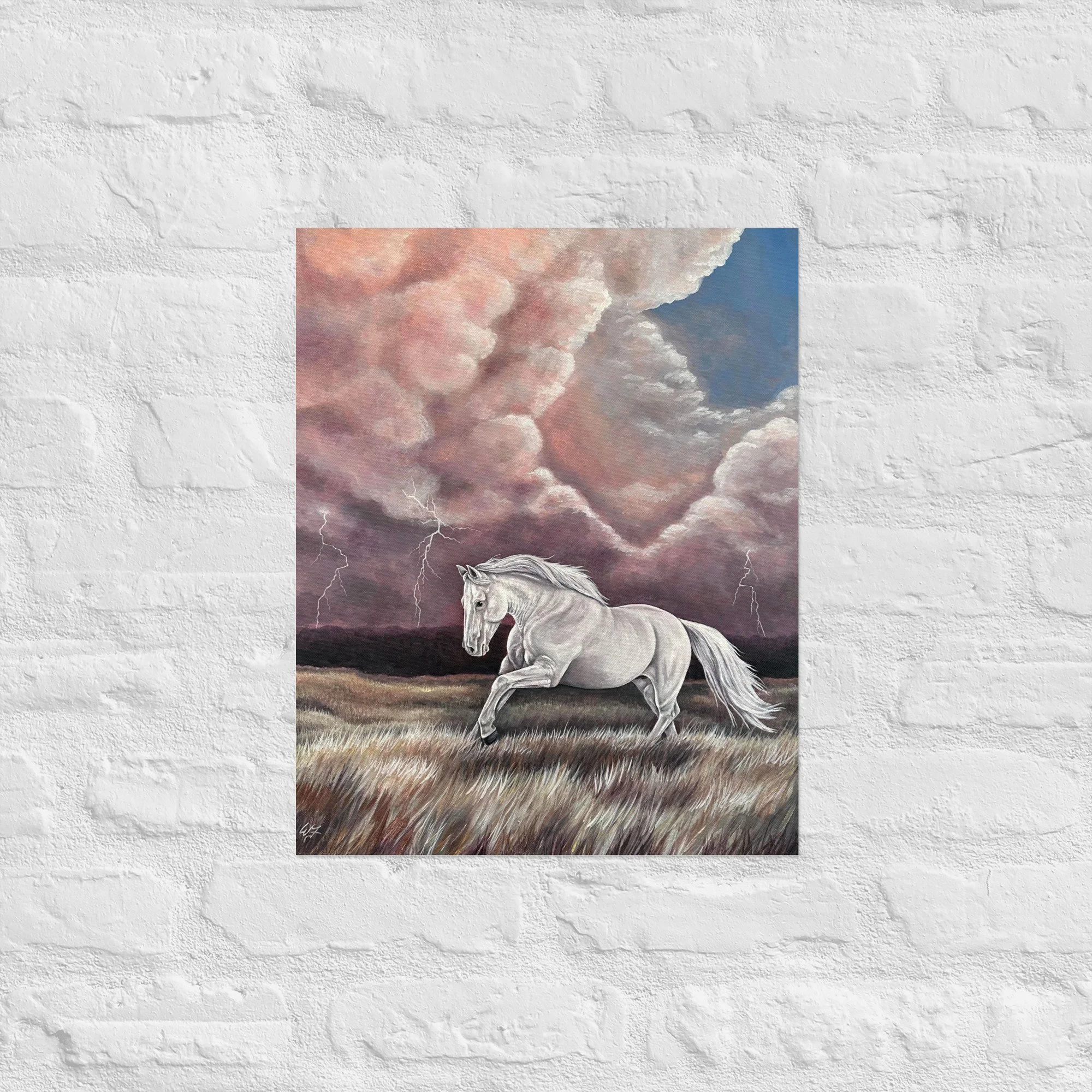 enhanced-matte-paper-poster-(in)-16x20-front-6a6ba28a9ff86.jpg