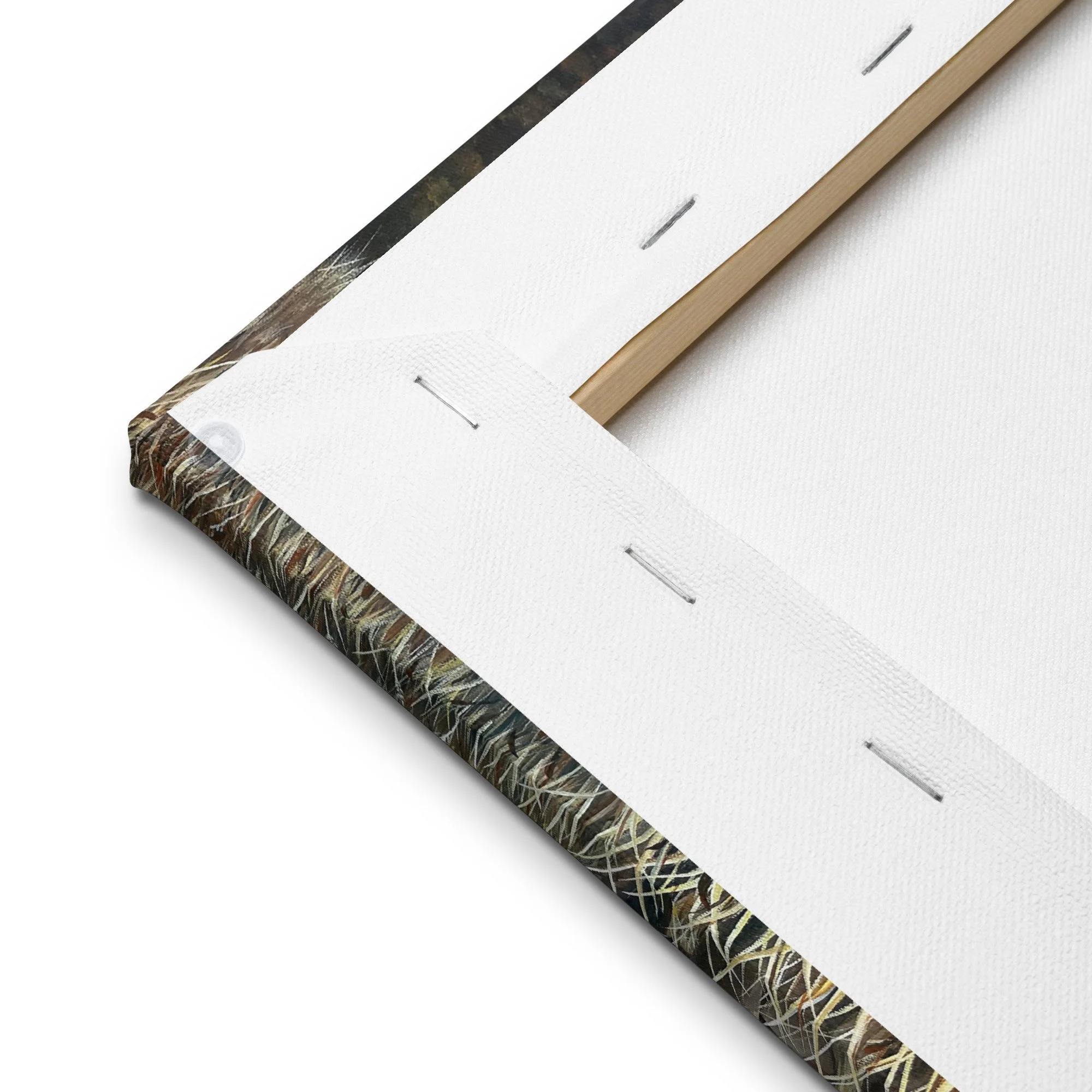 thin-canvas-(in)-12x16-product-details-6a6e3a16e4347.jpg