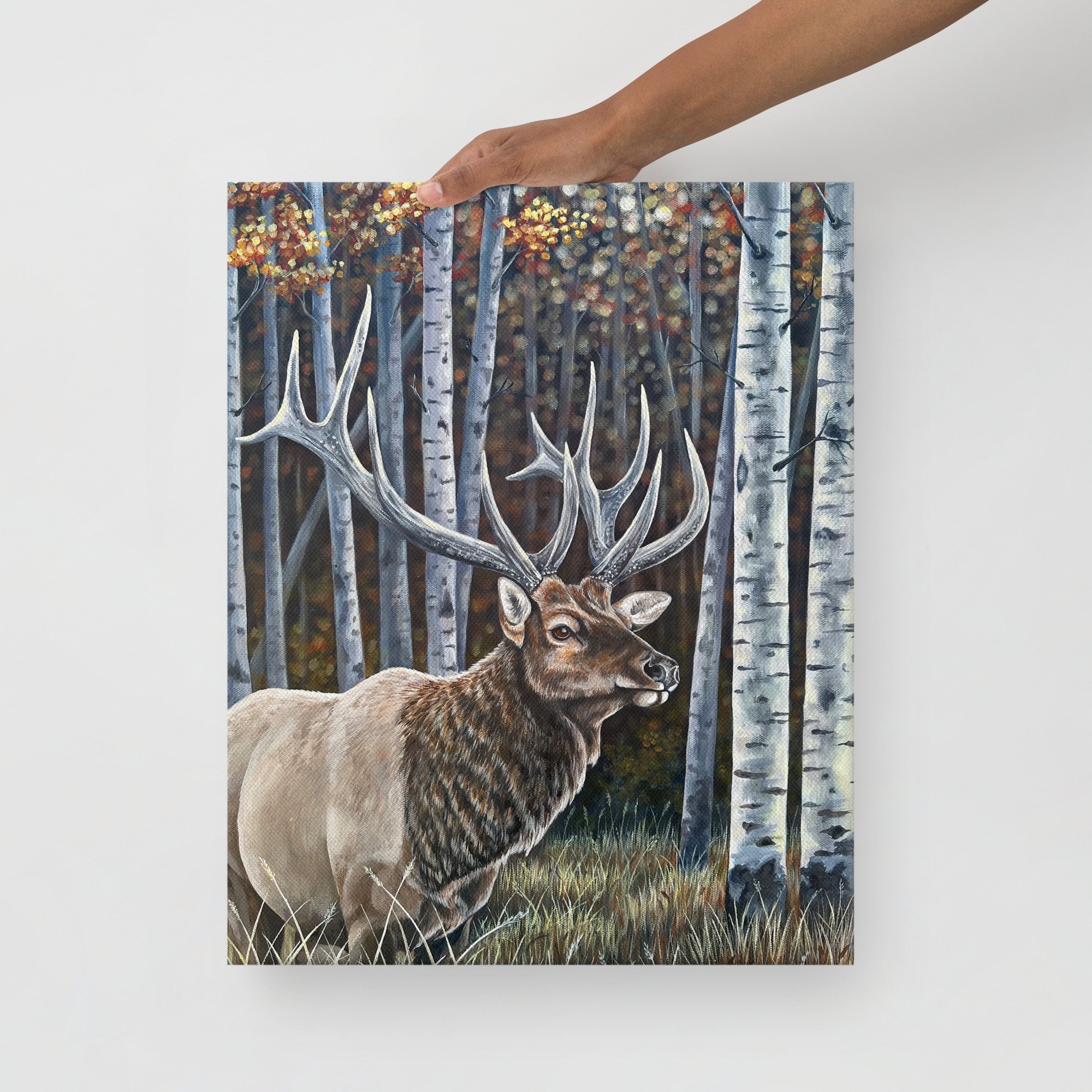 thin-canvas-(in)-16x20-front-6a6e3a16e3cd9.jpg