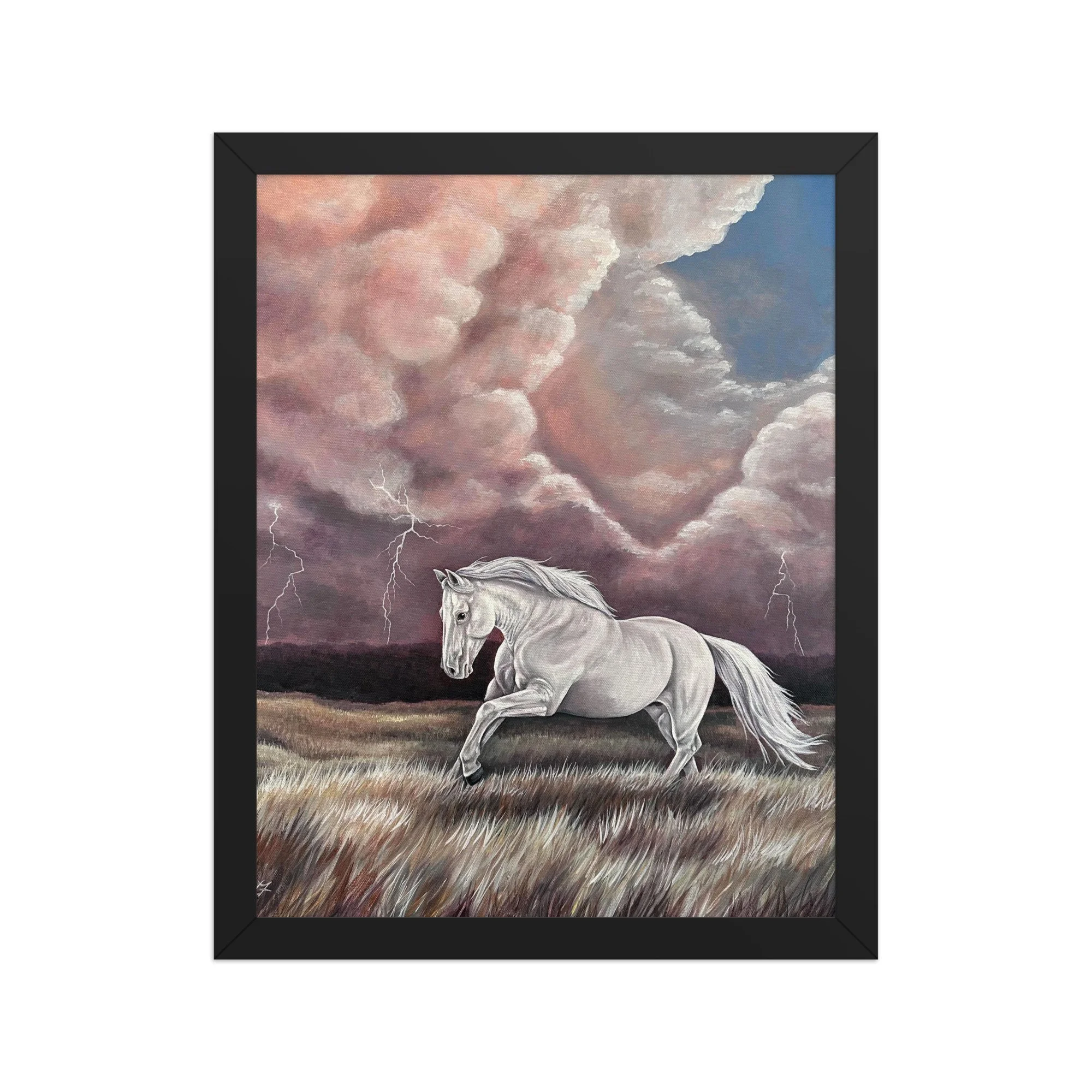 enhanced-matte-paper-framed-poster-(in)-black-11x14-front-6a6e5407012f9.jpg