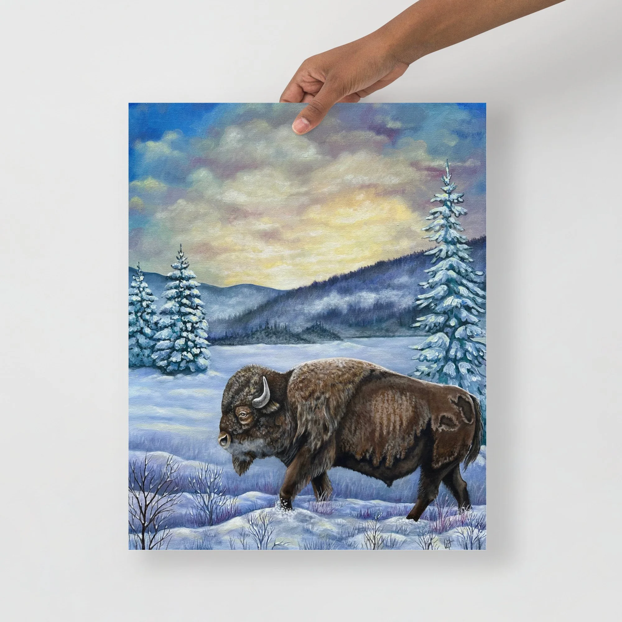 enhanced-matte-paper-poster-(in)-16x20-front-6a6e7af7c8992.jpg