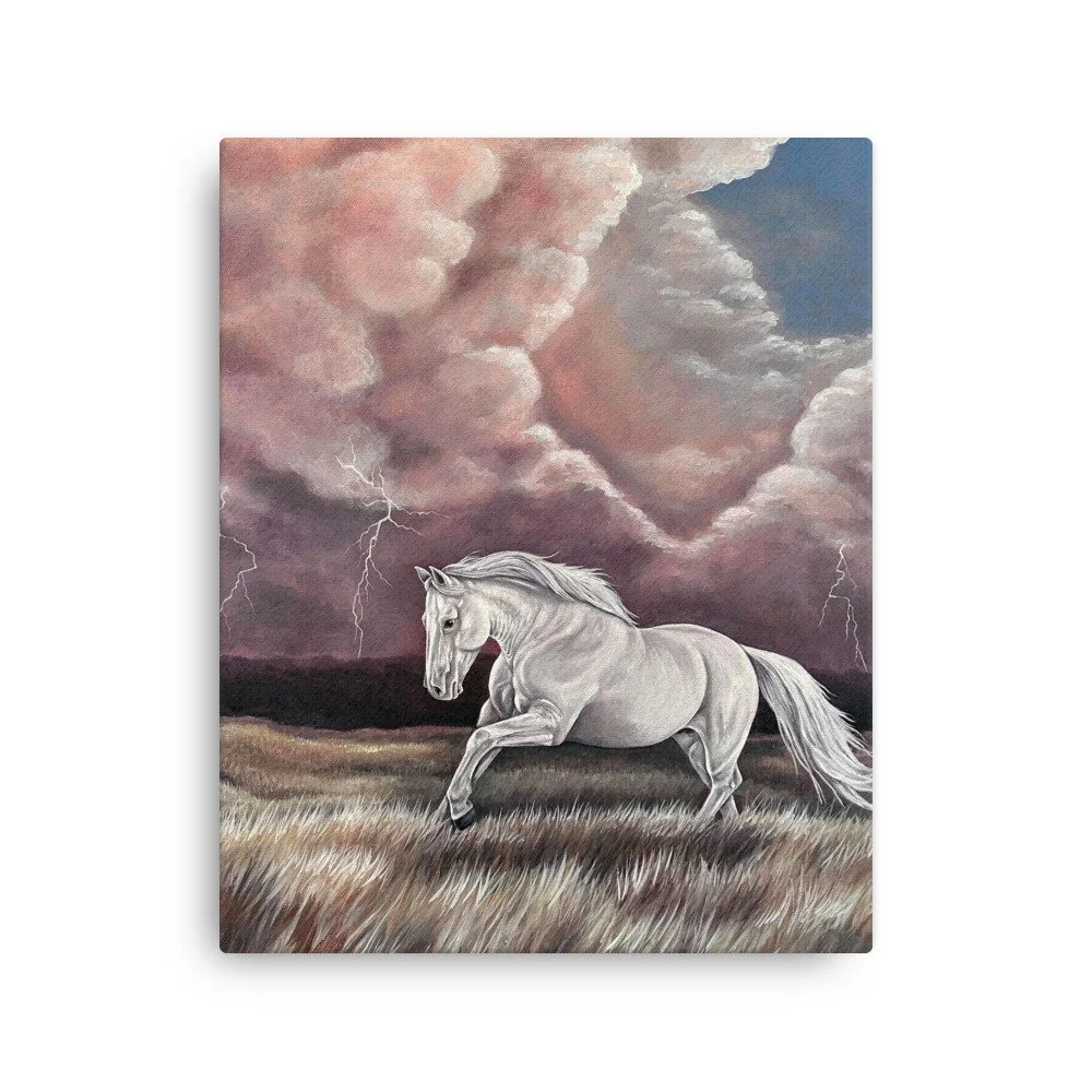 thin-canvas-(in)-16x20-front-6a70ecabc960d.jpg