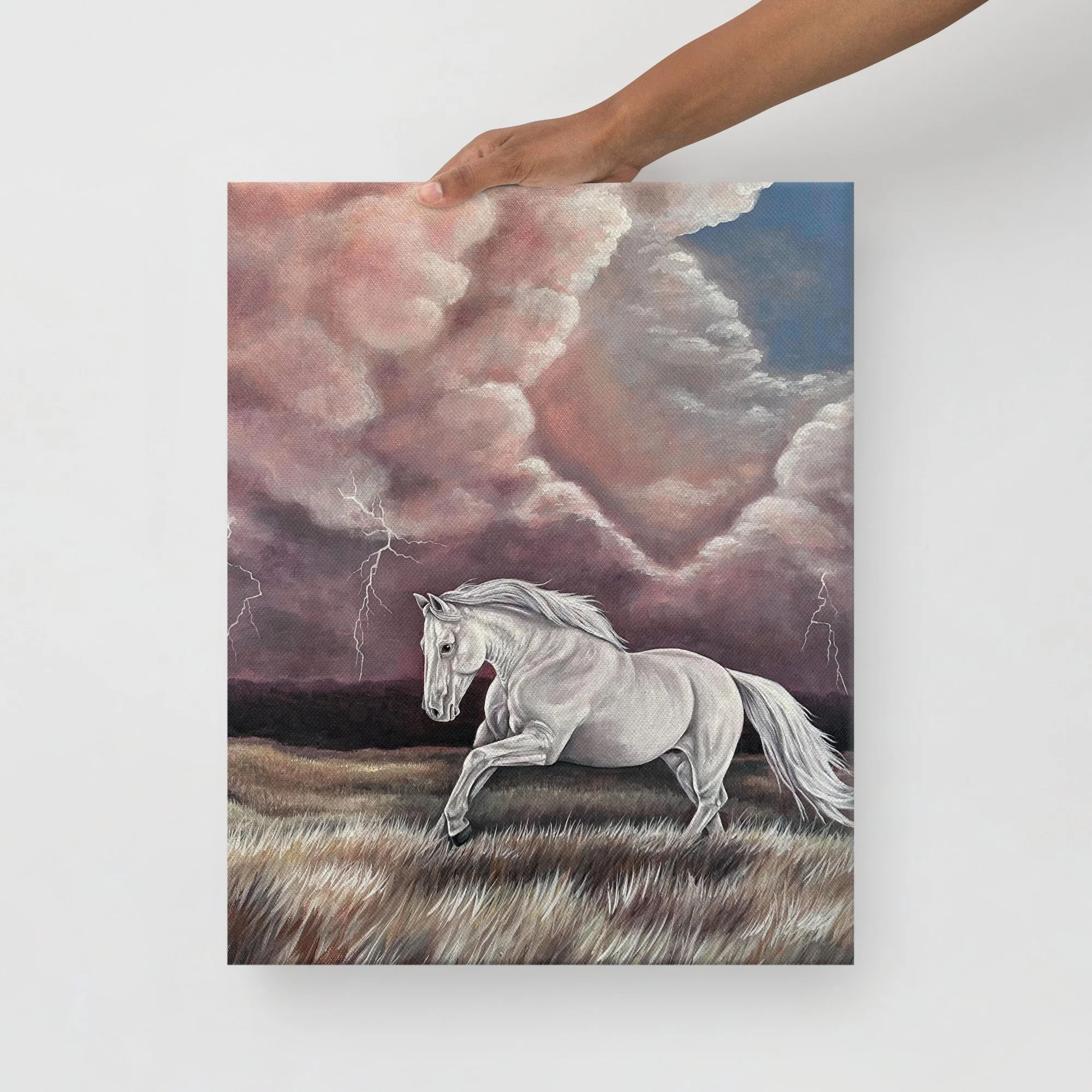 thin-canvas-(in)-16x20-front-6a70ecabca81f.jpg