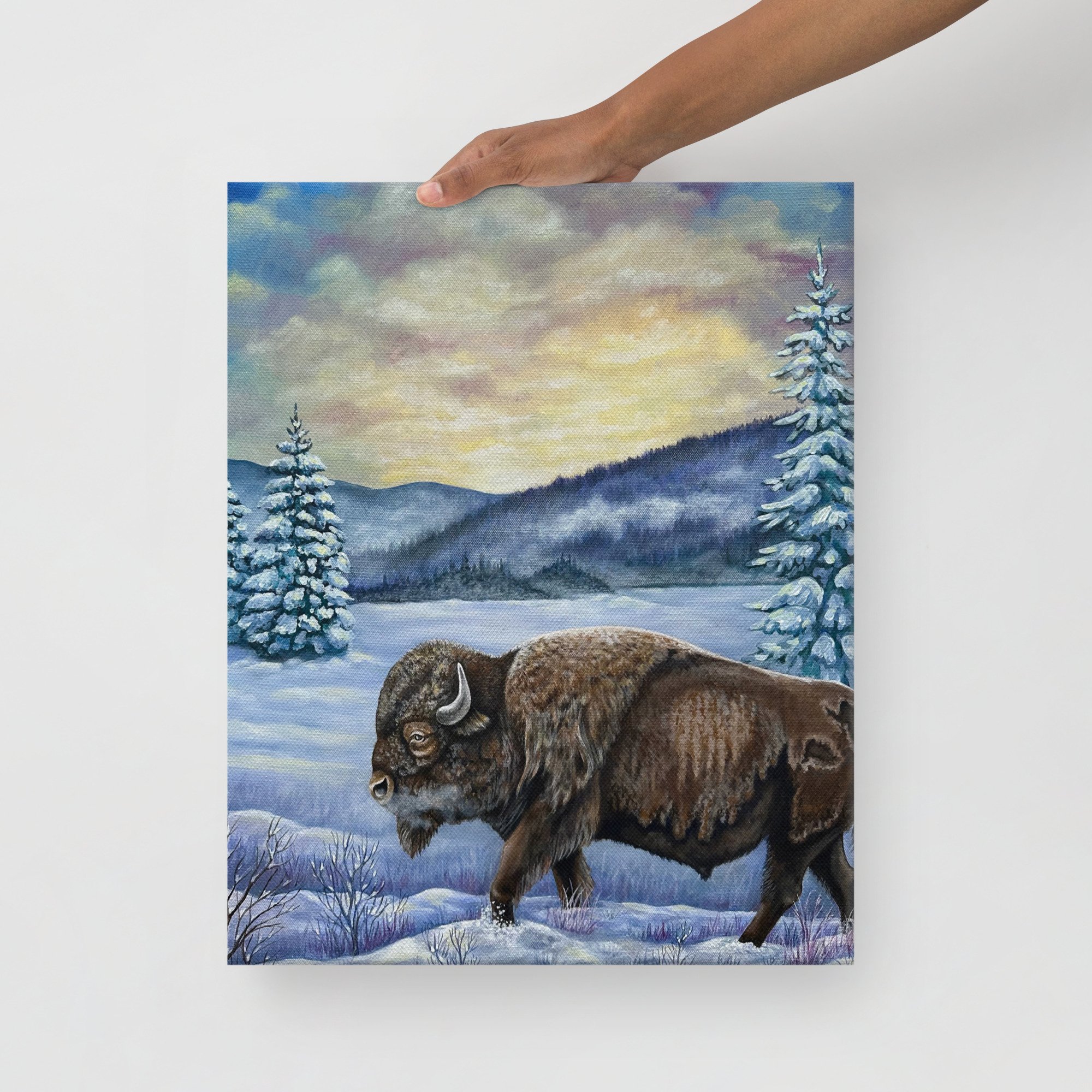 thin-canvas-(in)-16x20-front-6a70ef084117c.jpg