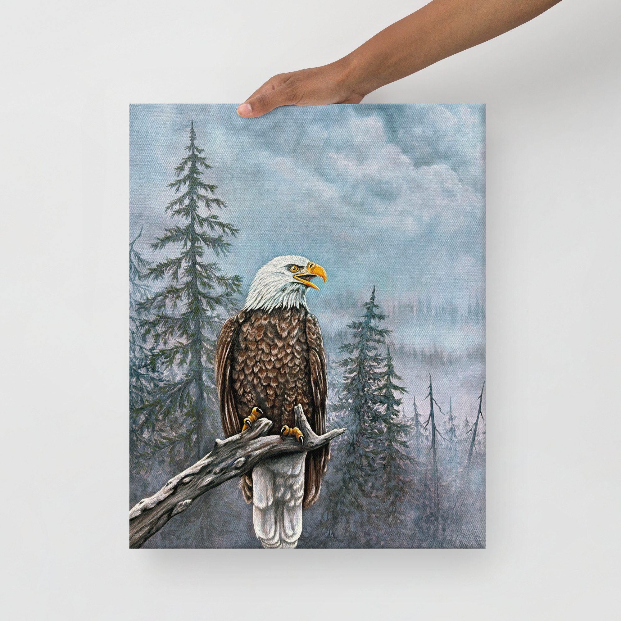 thin-canvas-(in)-16x20-front-6a74c89909d56.jpg