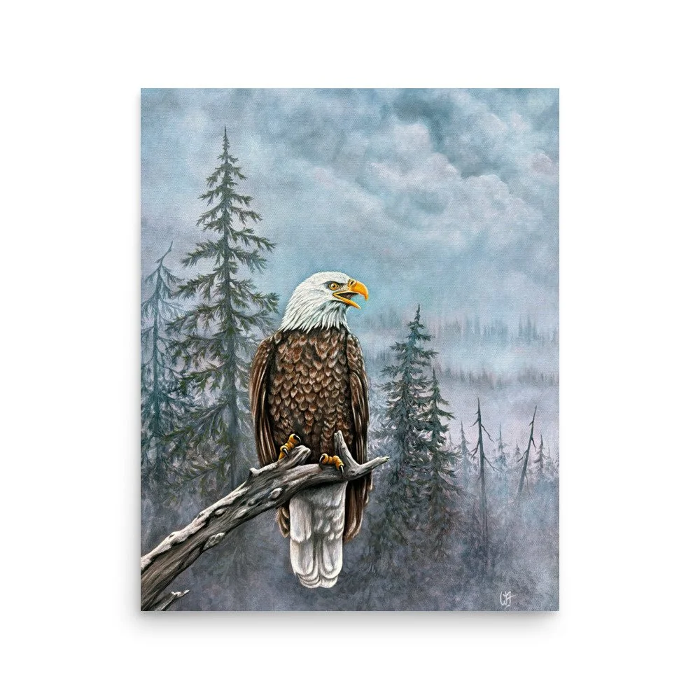 enhanced-matte-paper-poster-(in)-16x20-front-6a74d5dfdb901.jpg