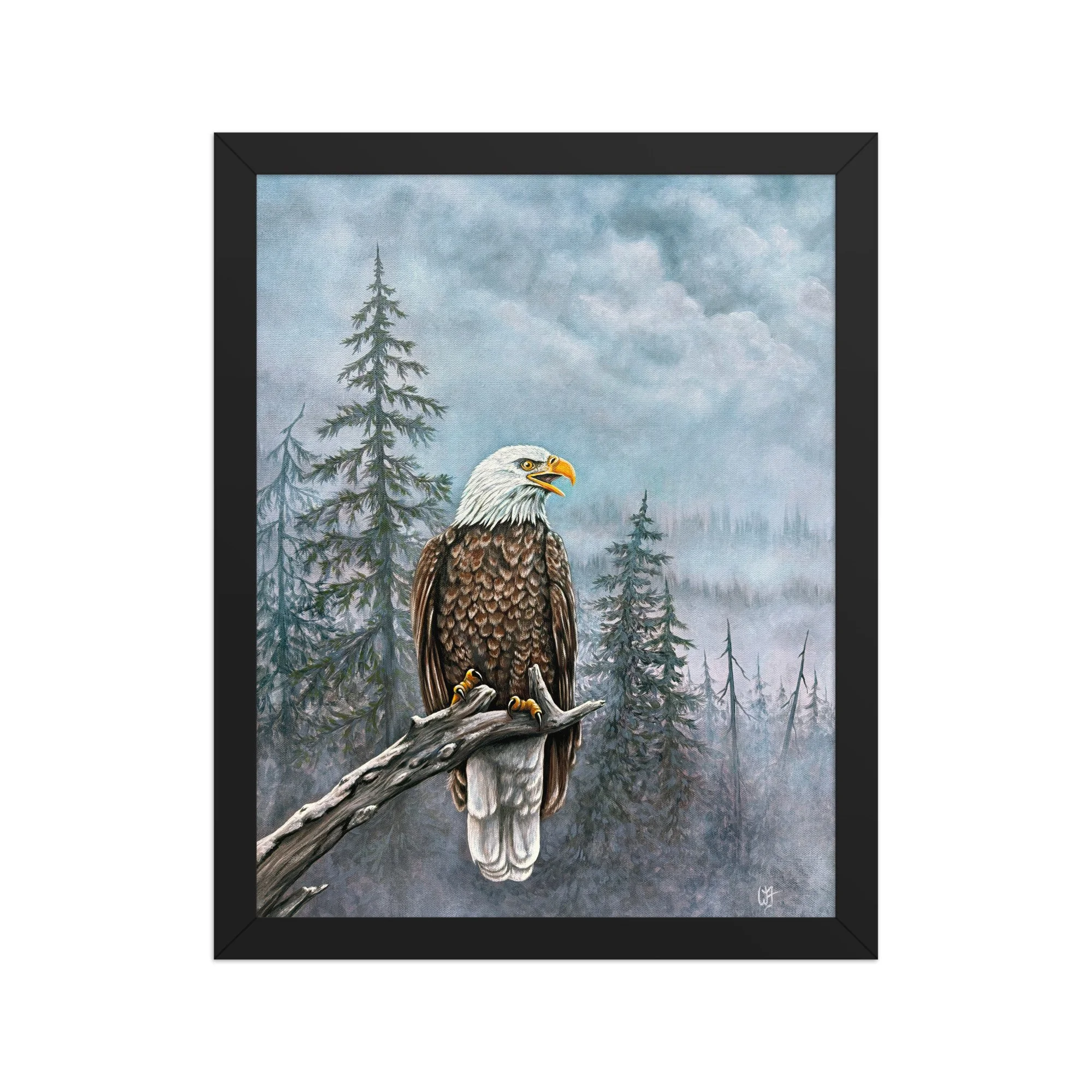 enhanced-matte-paper-framed-poster-(in)-black-11x14-front-6a74dd72ab2d6.jpg