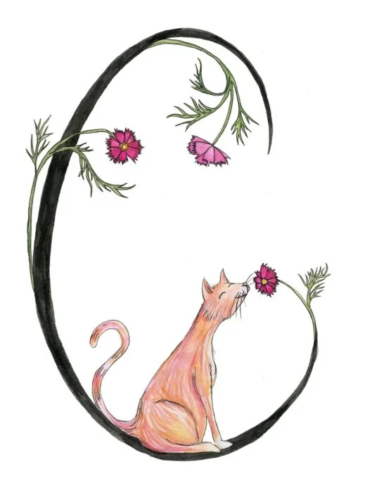 Alphabet art prints