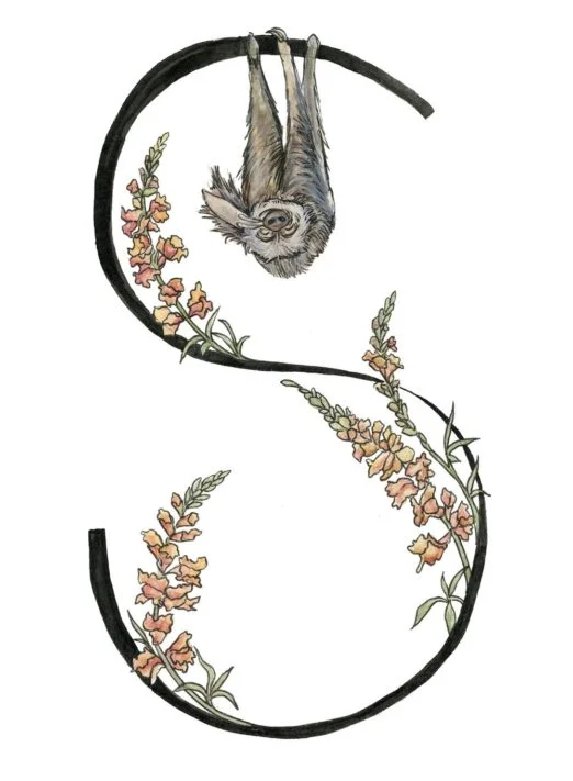 Alphabet art prints