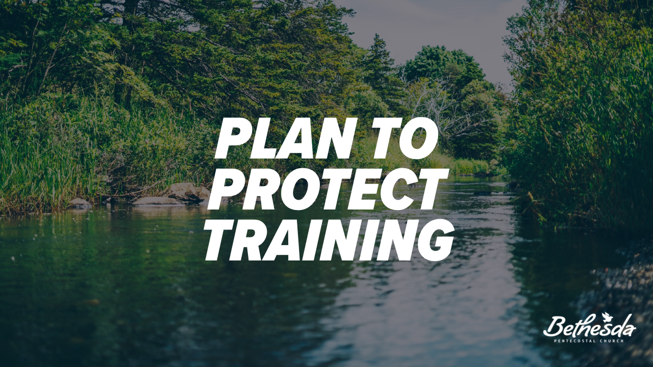 Plan to Protect: Online Volunteer Training
