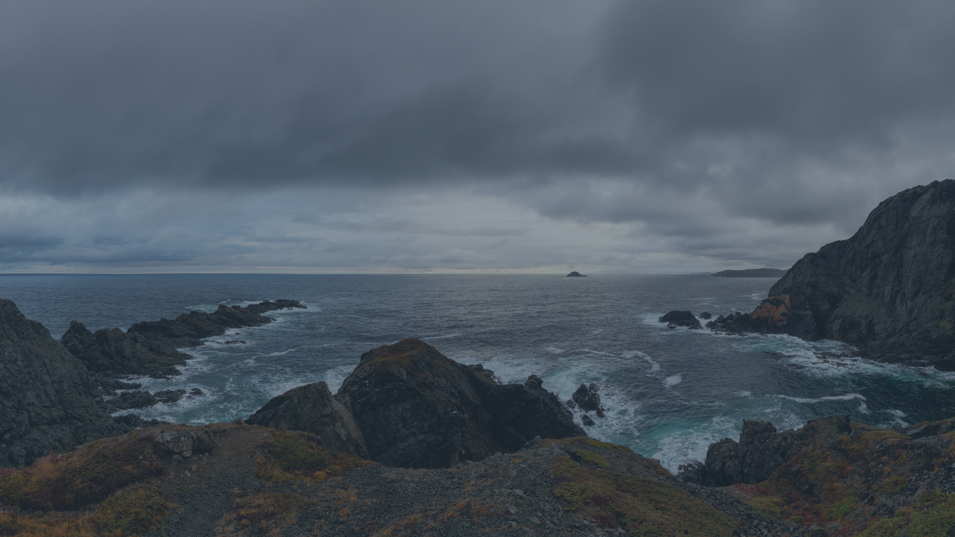 CELEBRATION OF LIFE (1).png