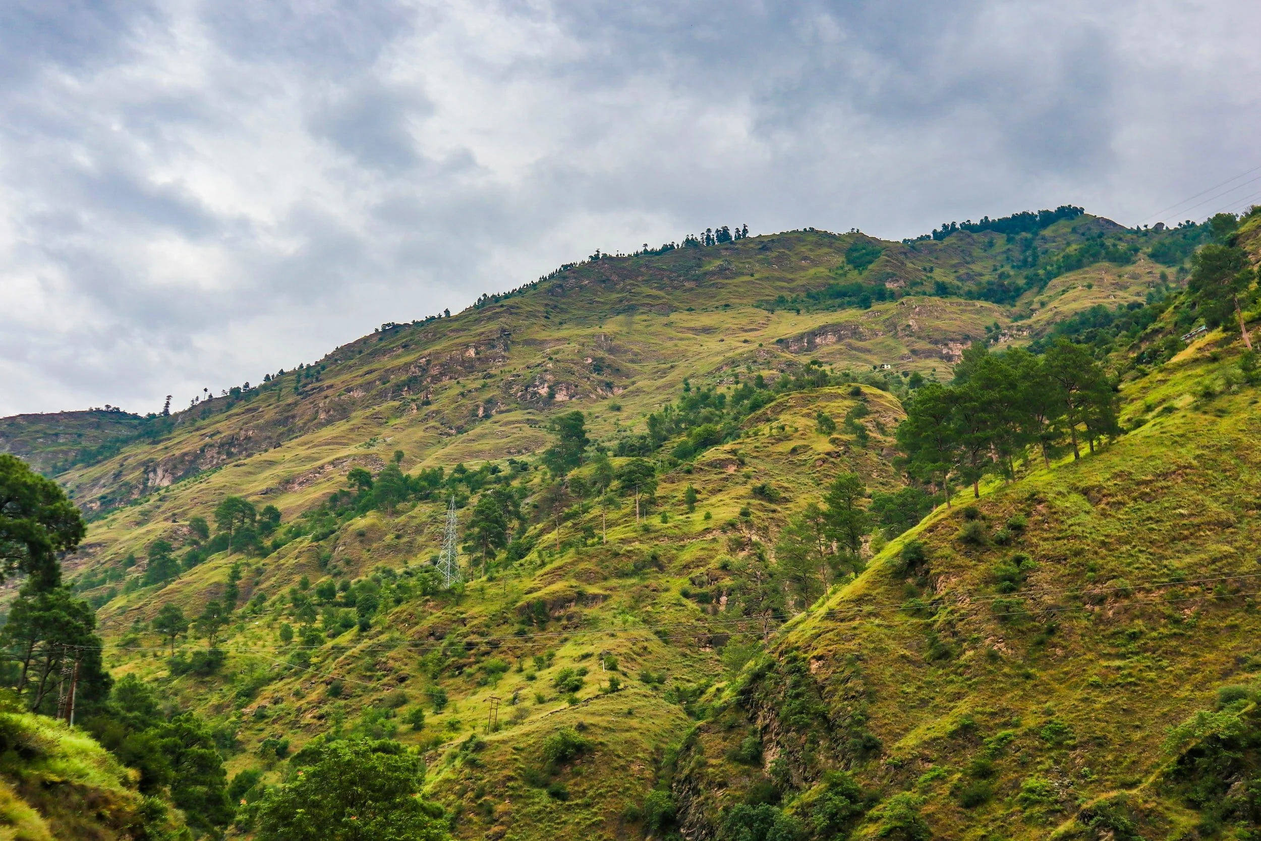 The Authority of Jesus