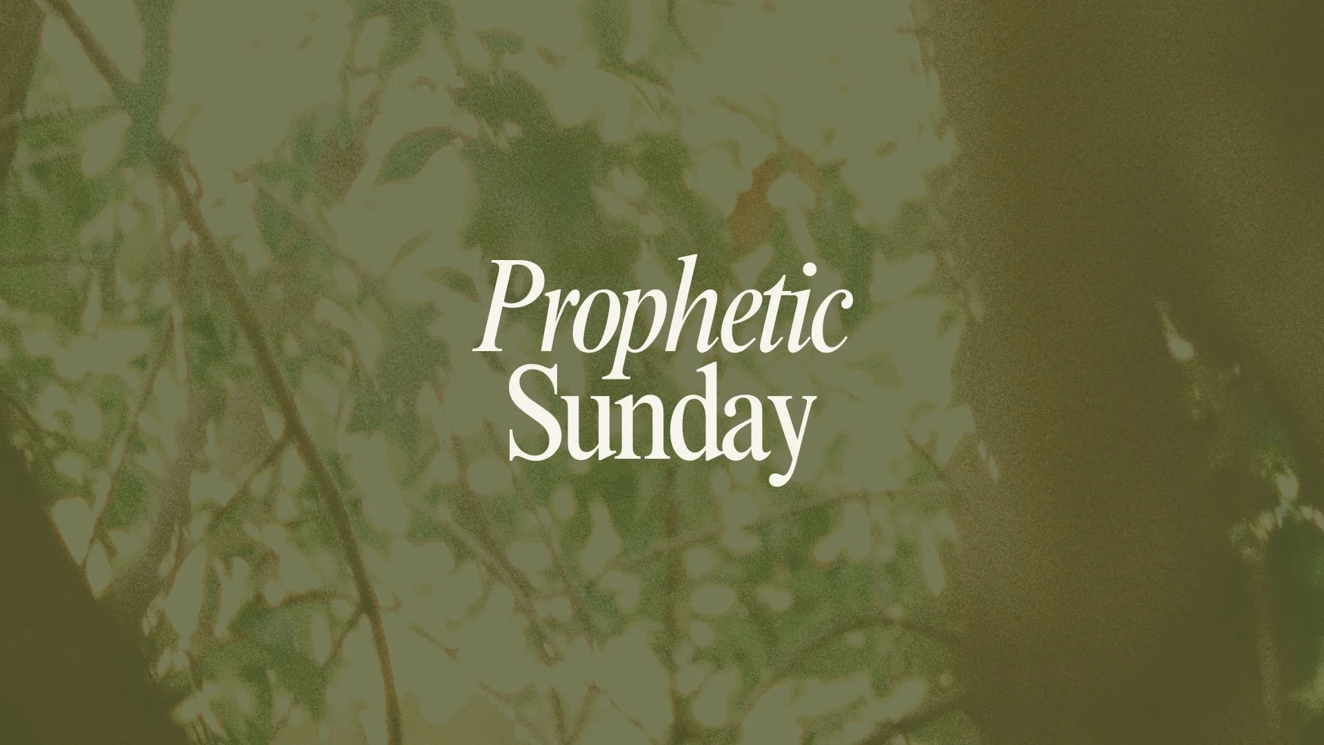 Teachings β Living Streams Church | Phoenix, AZ