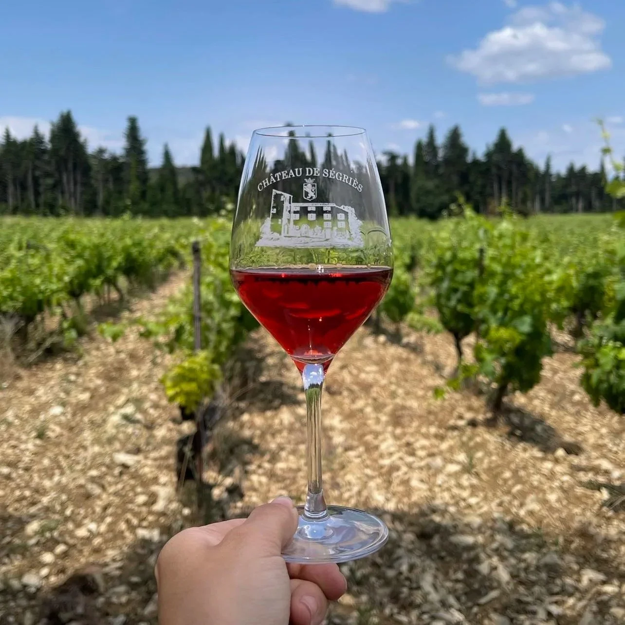 Chateau de Segries Tavel Rosé