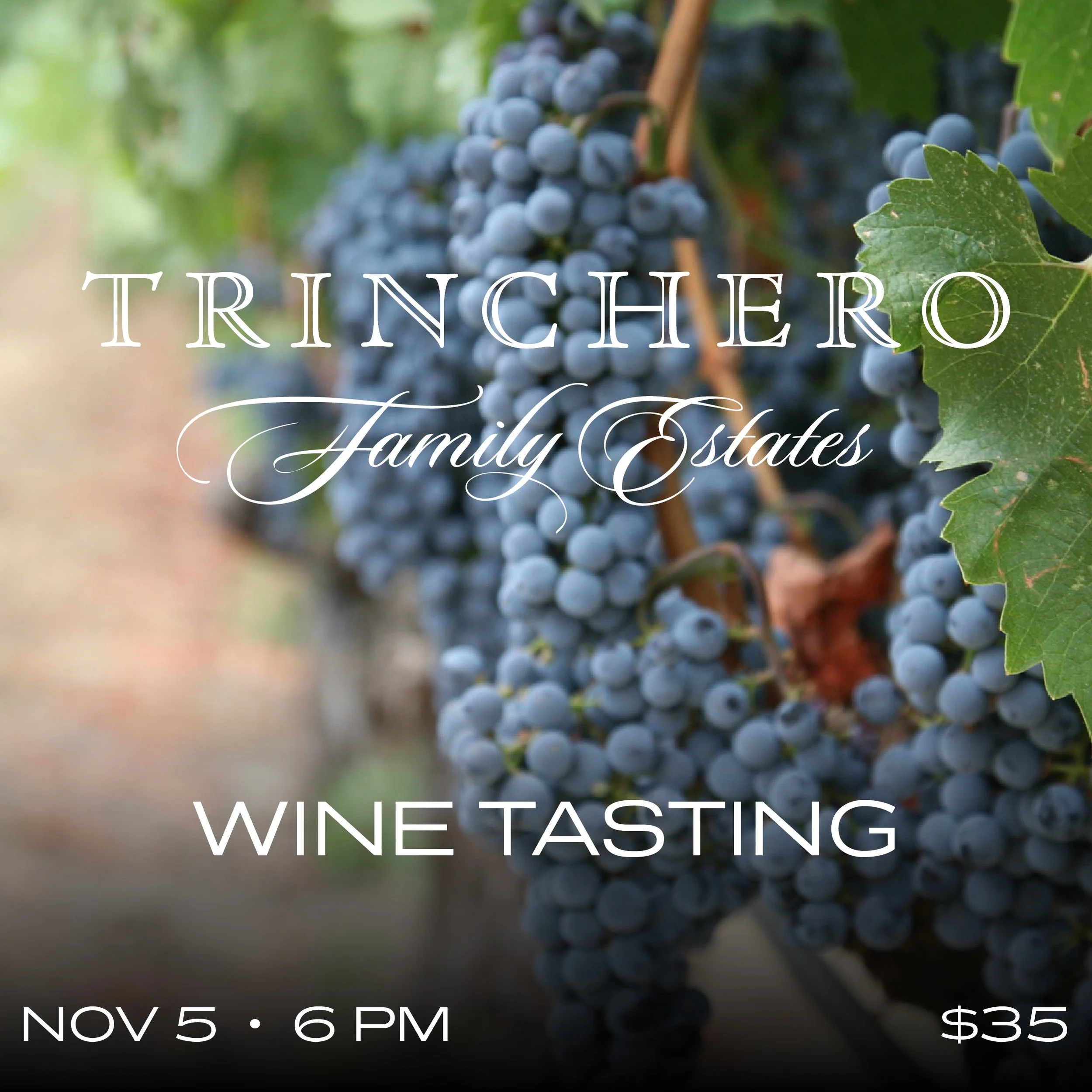 trinchero-tasting-2026_Square.jpg