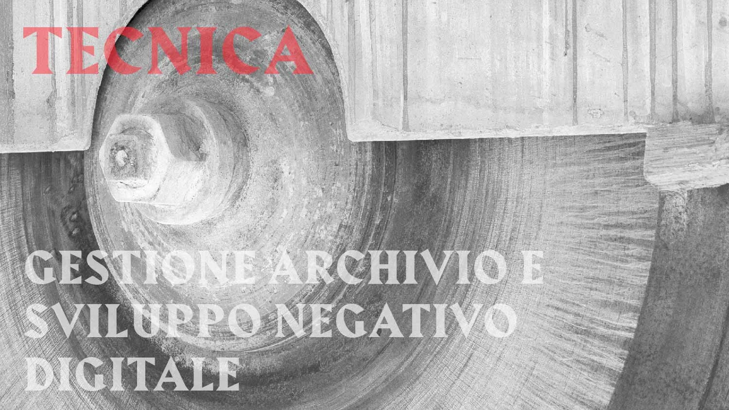 LIGHTROOM: ARCHIVIO E FILE RAW