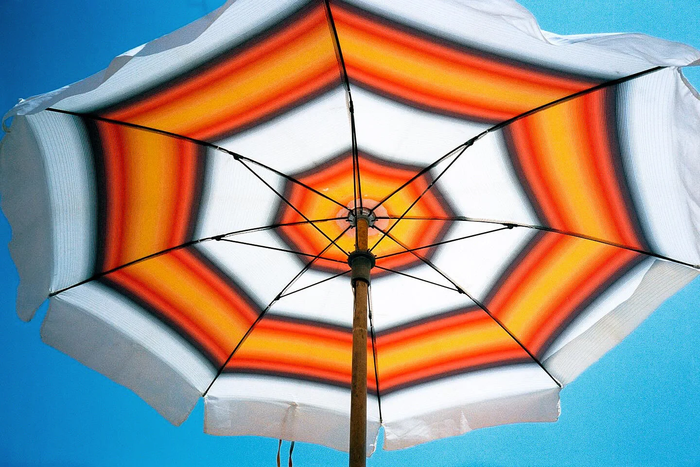 88AF1CE5-8F5B-40B2-91C6-4EC6E57A53CF