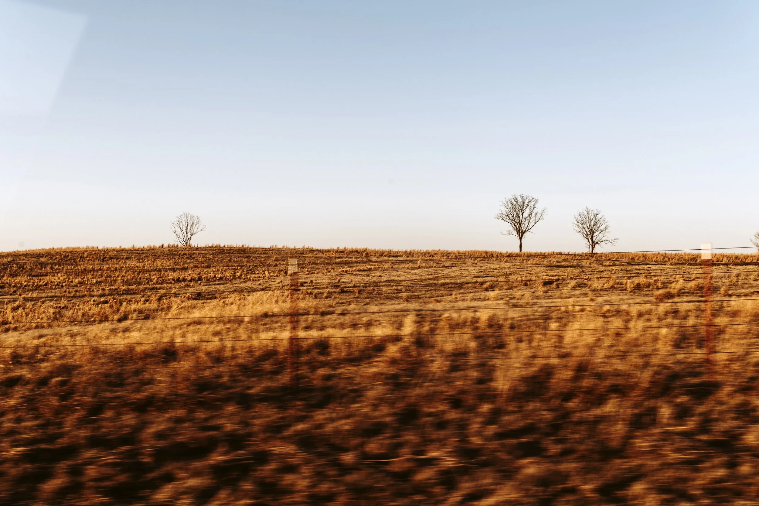 A passing field shot from a car window in Arkansas