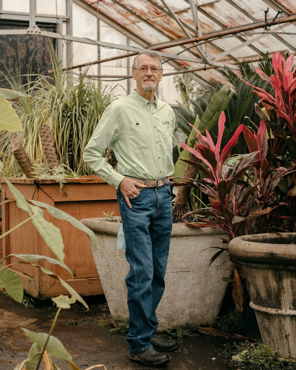 Master gardener in a greenhouse surrounded by plants in Memphis, Tennessee