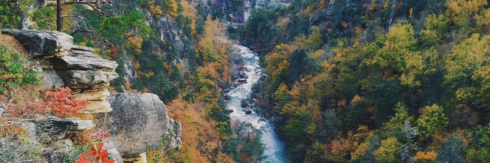 DECKING COLOR SELECTOR