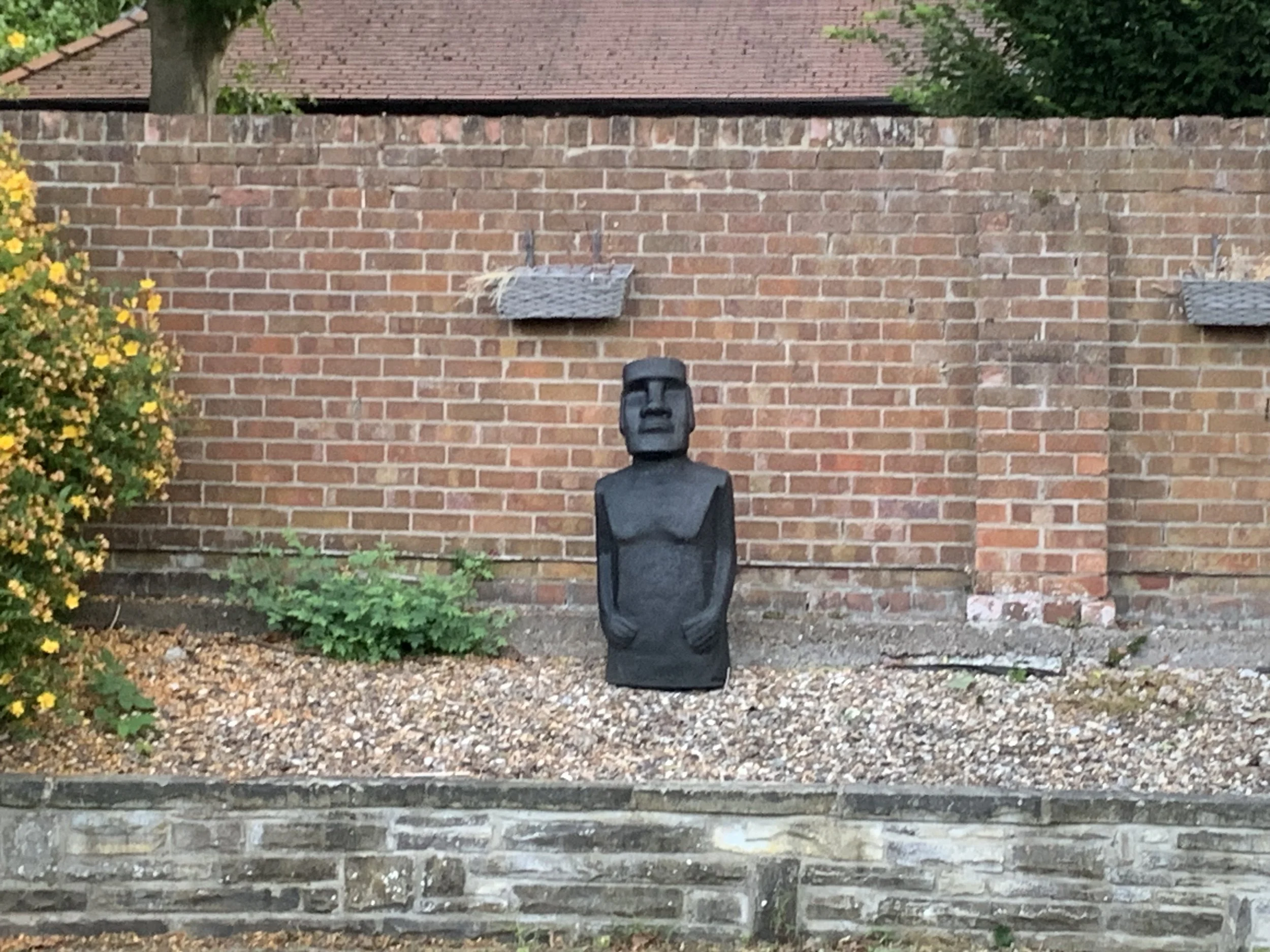 IMG_6109.jpeg