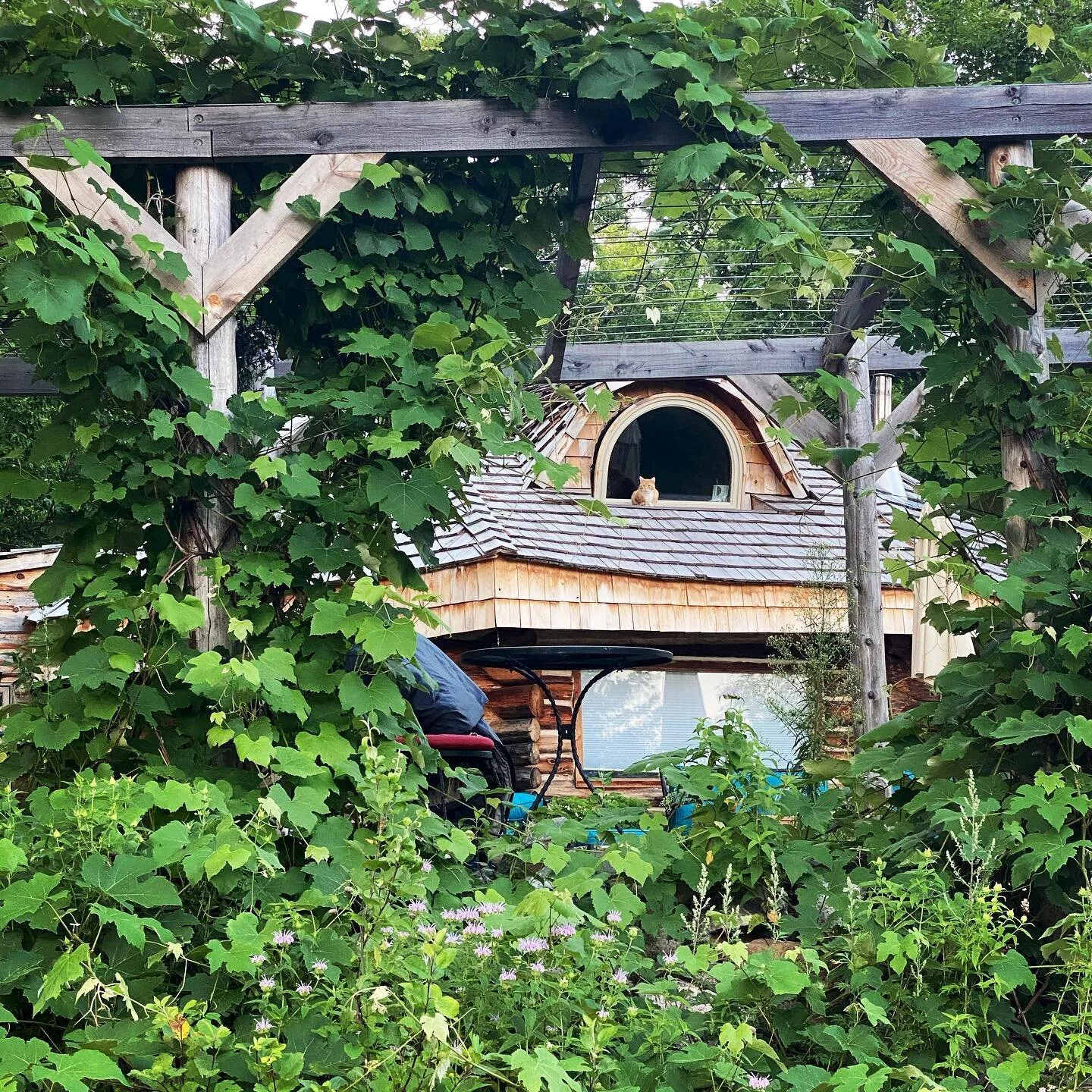 I know we&rsquo;ve been quiet this year but sometimes powerful transitions look like that. We&rsquo;ve had full plates here building spaces for you. To play, dream, explore, do some futuremaking, soul searching, and resting. We&rsquo;re still weaving