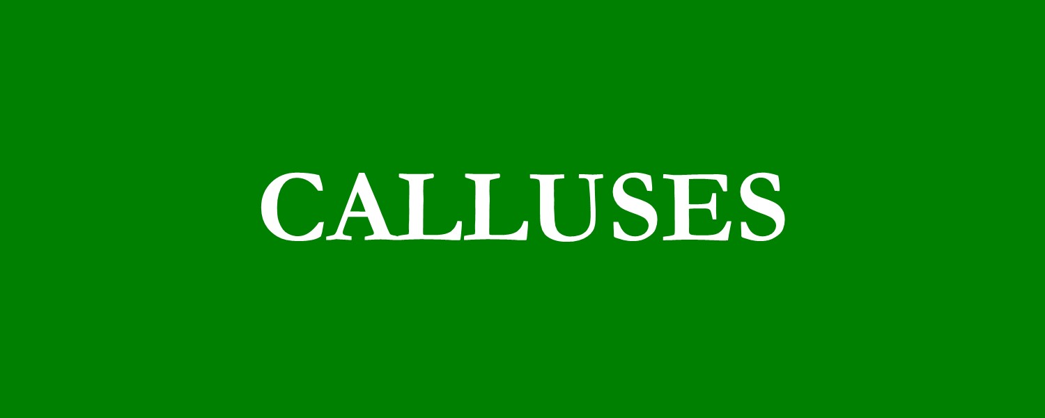 Calluses.jpg