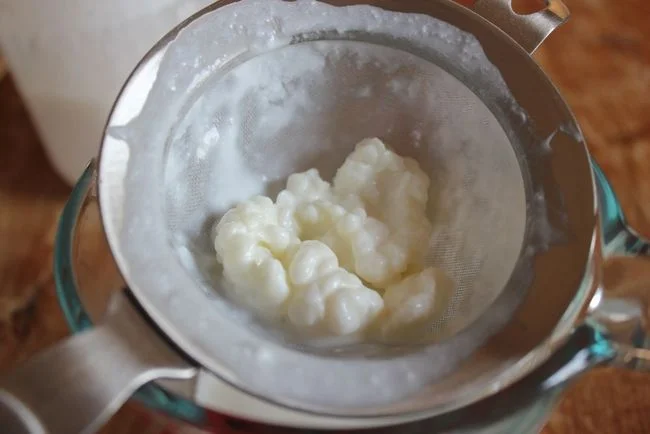 Birdie'sBoneBroth_GoatMilkKefir.jpg
