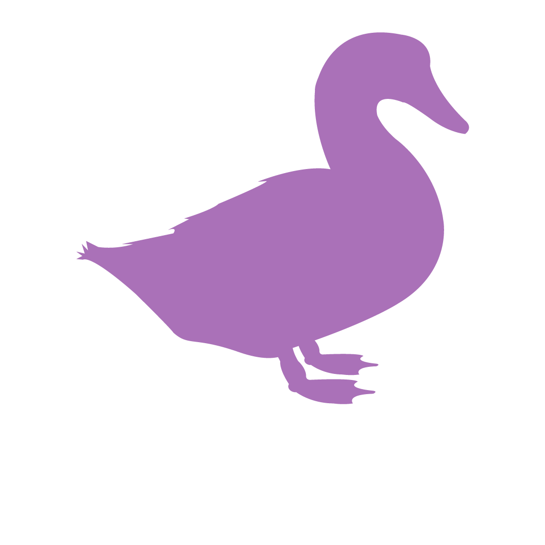 duck.png