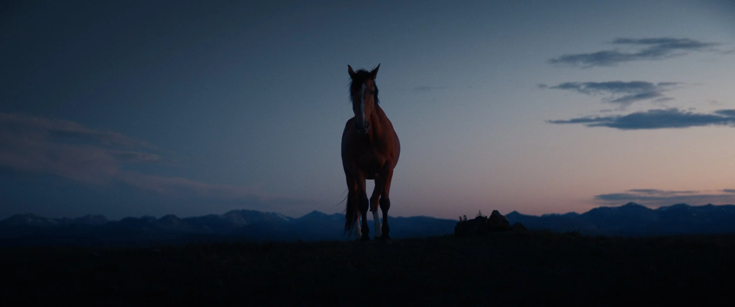 Borrowed from the Earth - Trailer