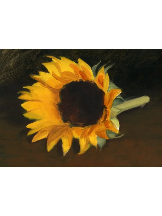 2016-2021_REV_StillLife_Sunflower_5x7__4.3.SM.jpg