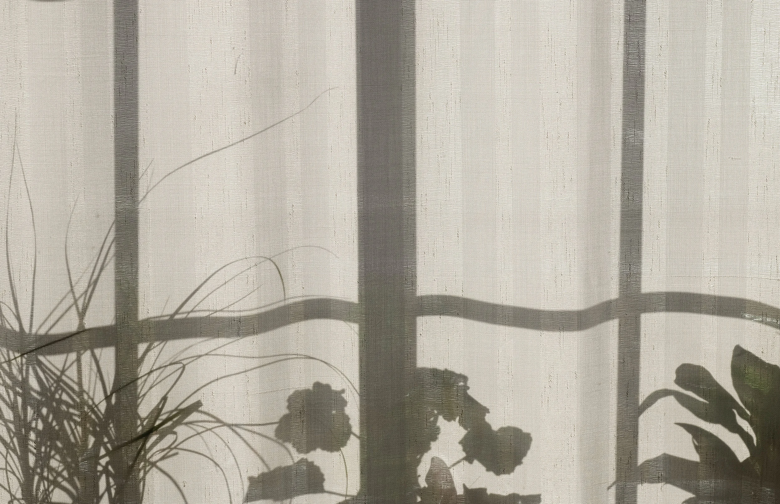 Success: Looking Behind the Curtain