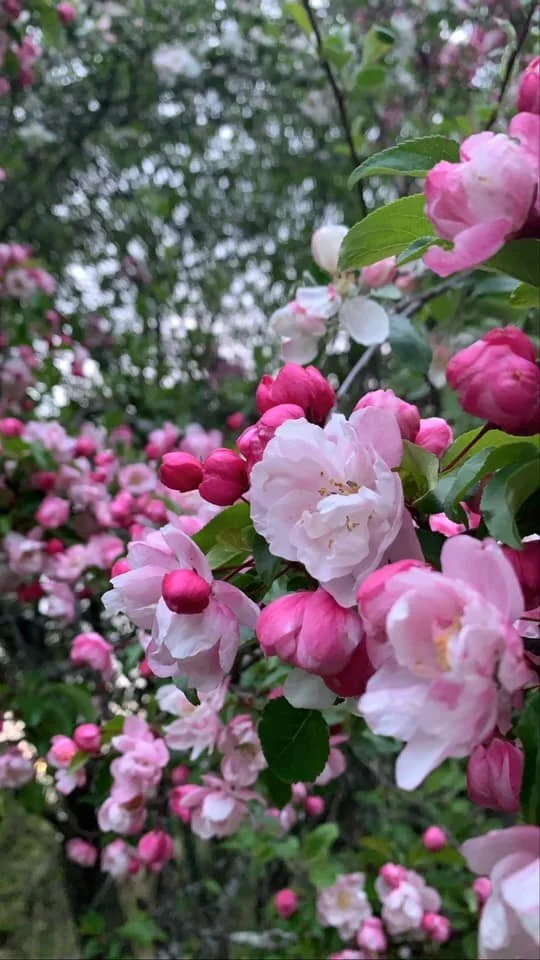 Day 59: If You Want to Write