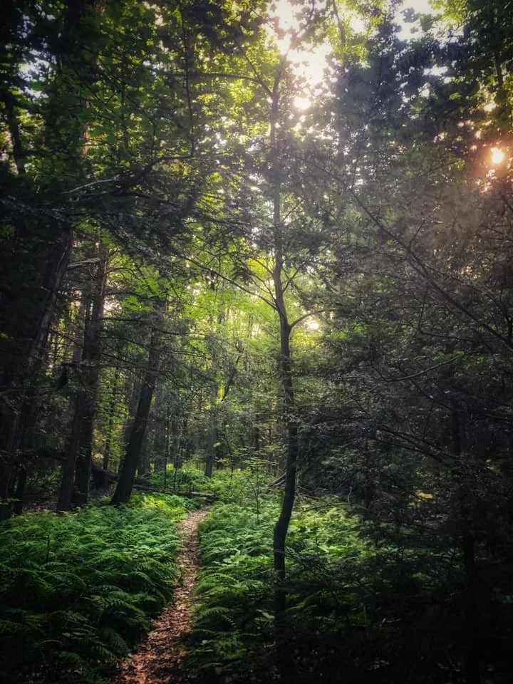 I Used to Be {a poem}