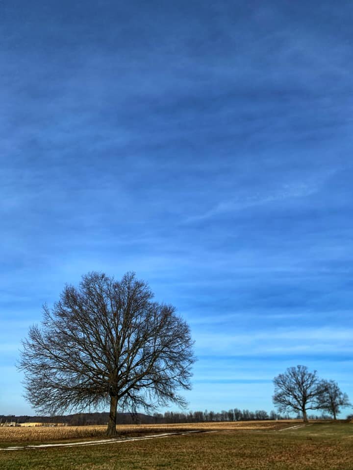 I Need a Now {a poem}