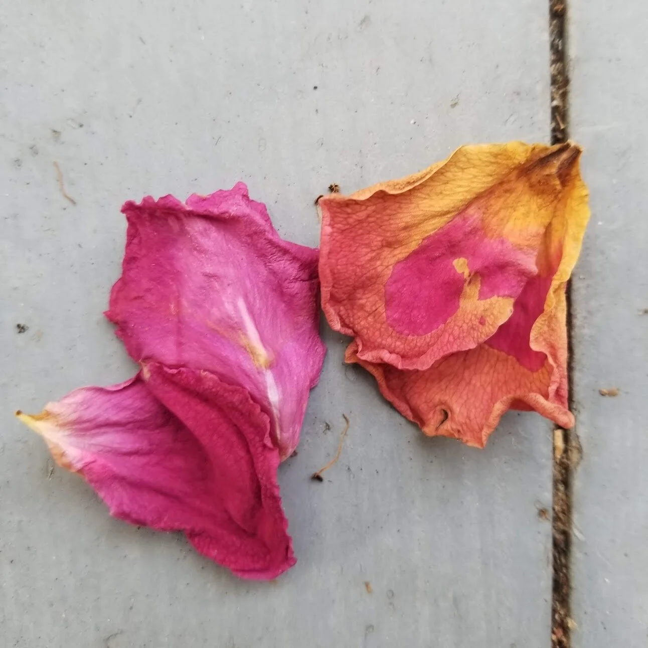 Fine good raw true {a poem}