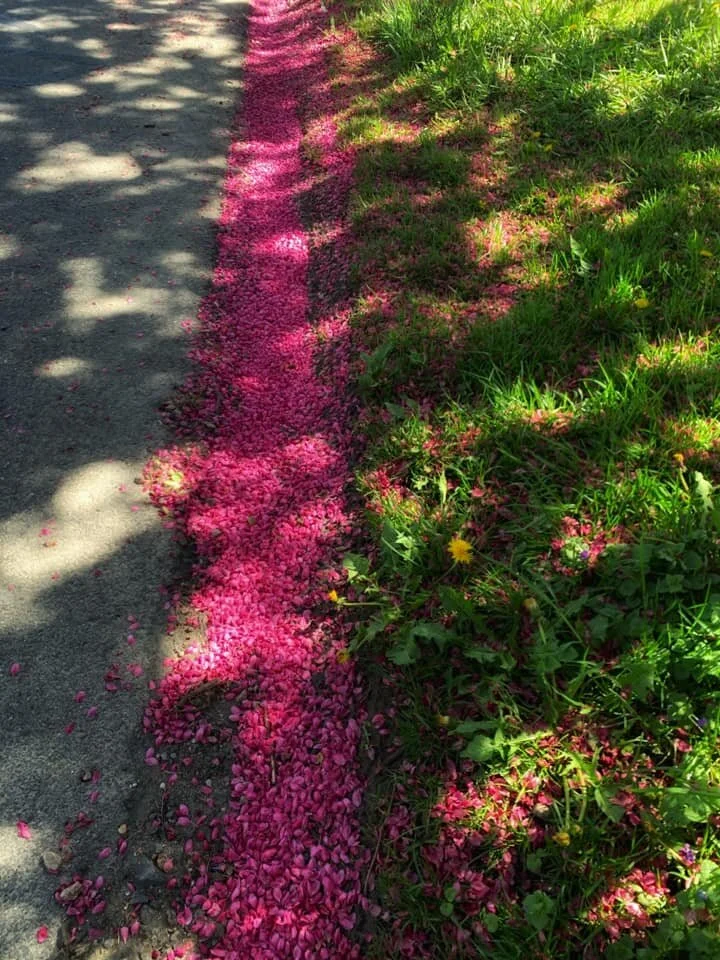 Not All Love {a poem}