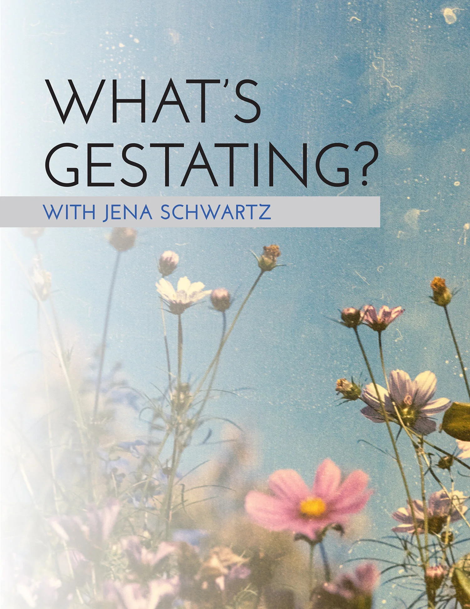 What's Gestating-cover.jpg