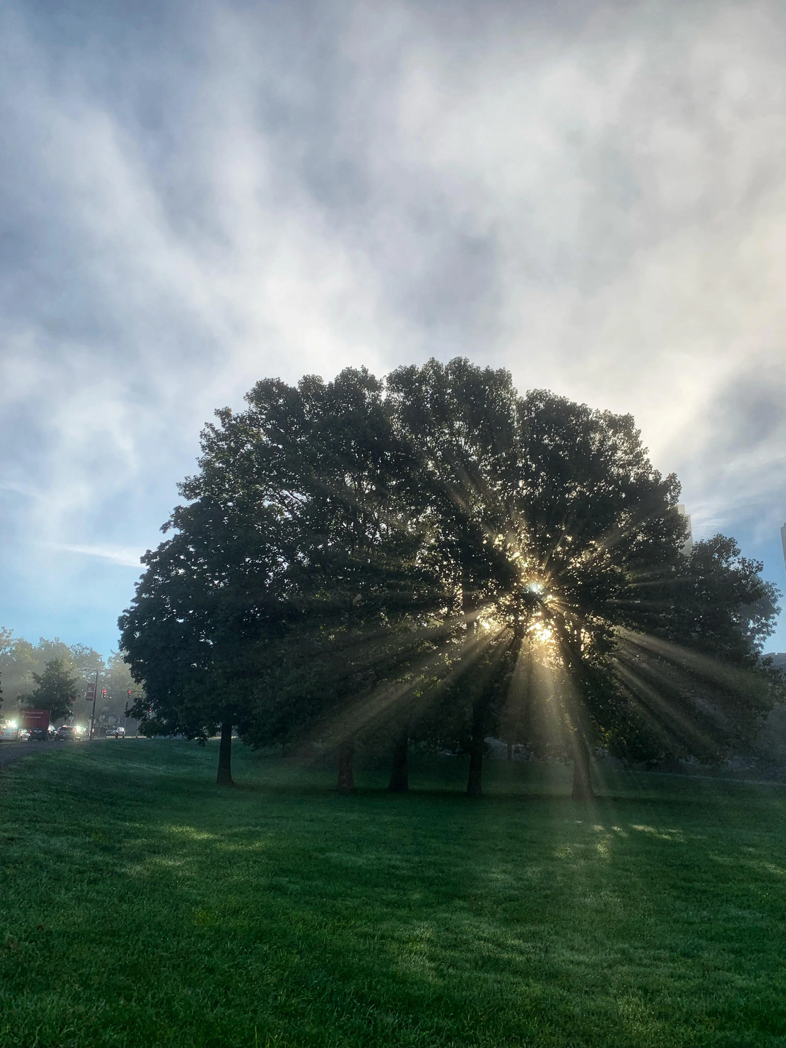 Changing Seasons