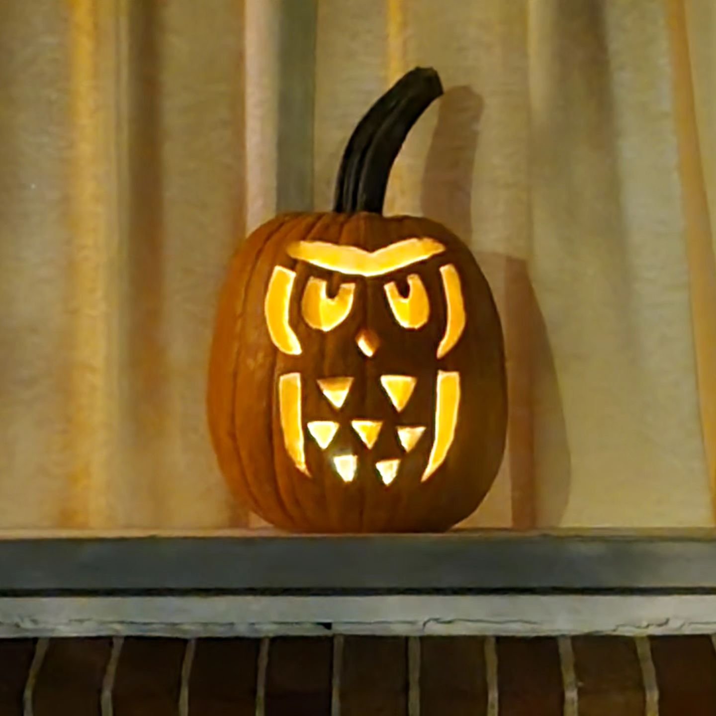 Owl Pumpkin. 
Happy Halloween!

It has the biggest handle/stem of any pumpkin I've seen.

#Pumpkin #happyhalloween #jackolantern #owl