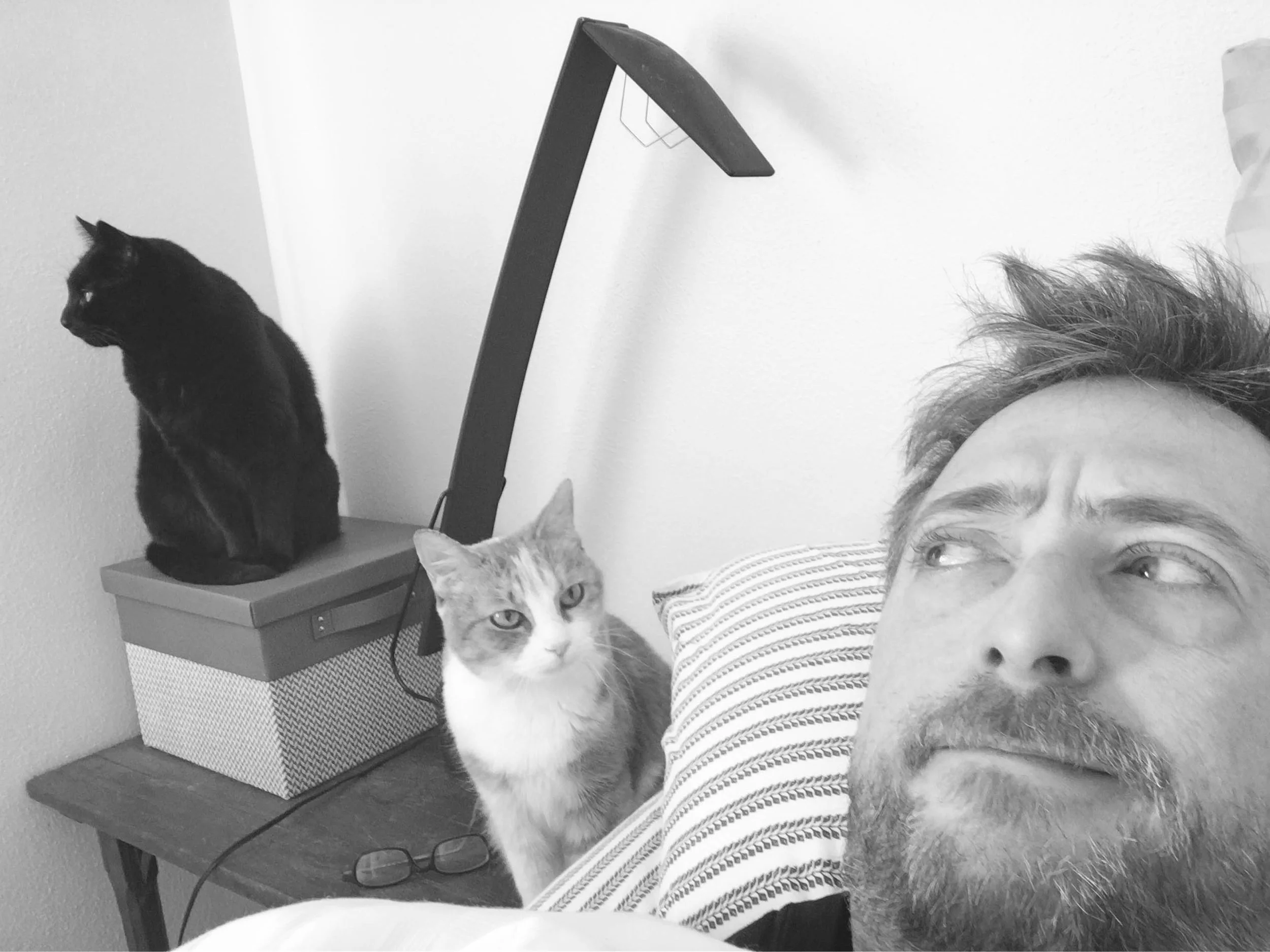 Alarm clocks (Shiloh and Fiona)