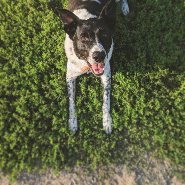 Screen Shot 2019-01-09 at 5.36.25 PM.png