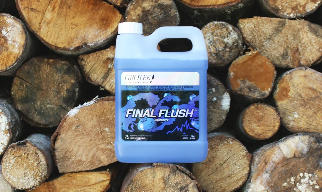 FinalFlush-blueberry.jpg