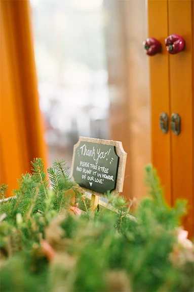 Let your love grow tall