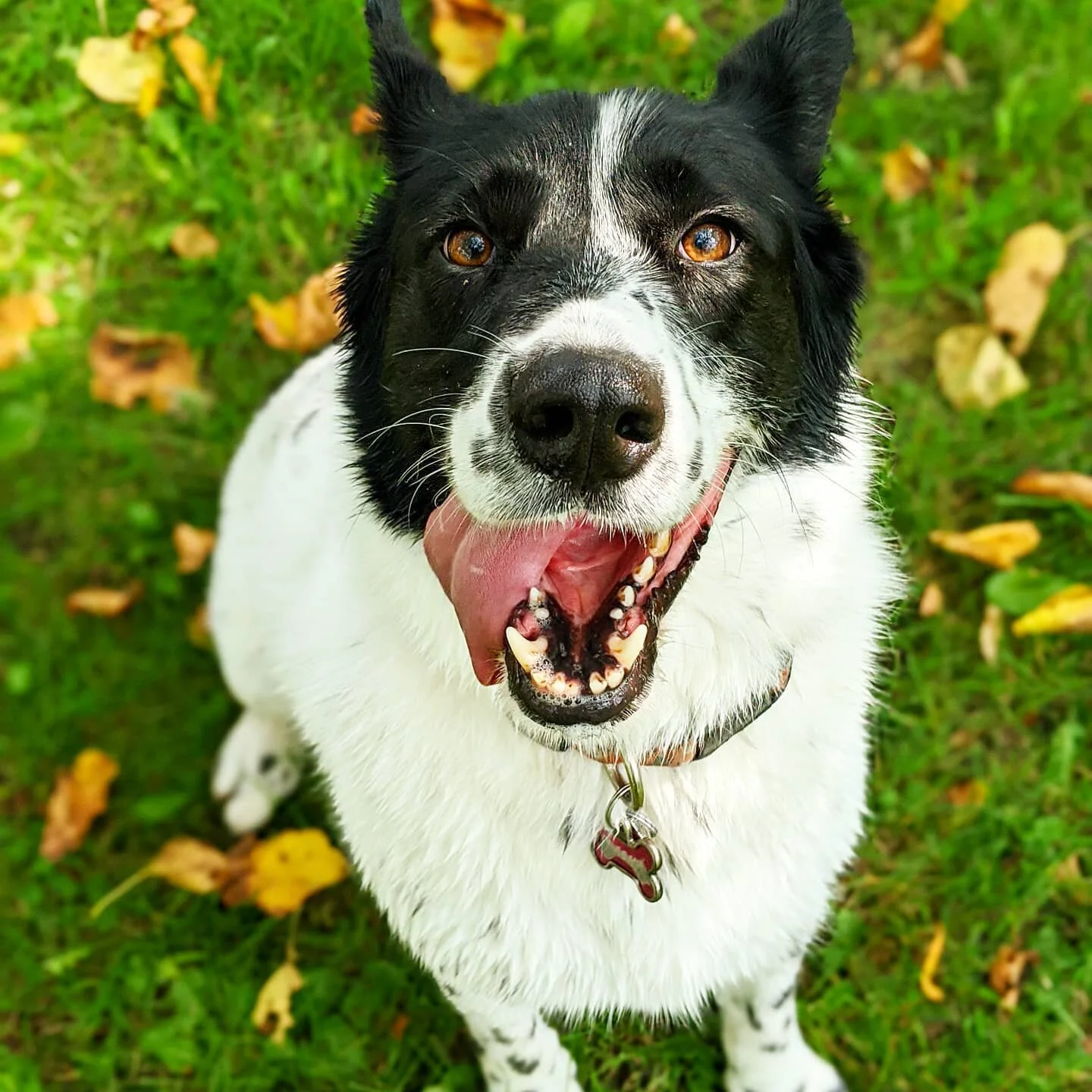 Out for a swim are ya bud?