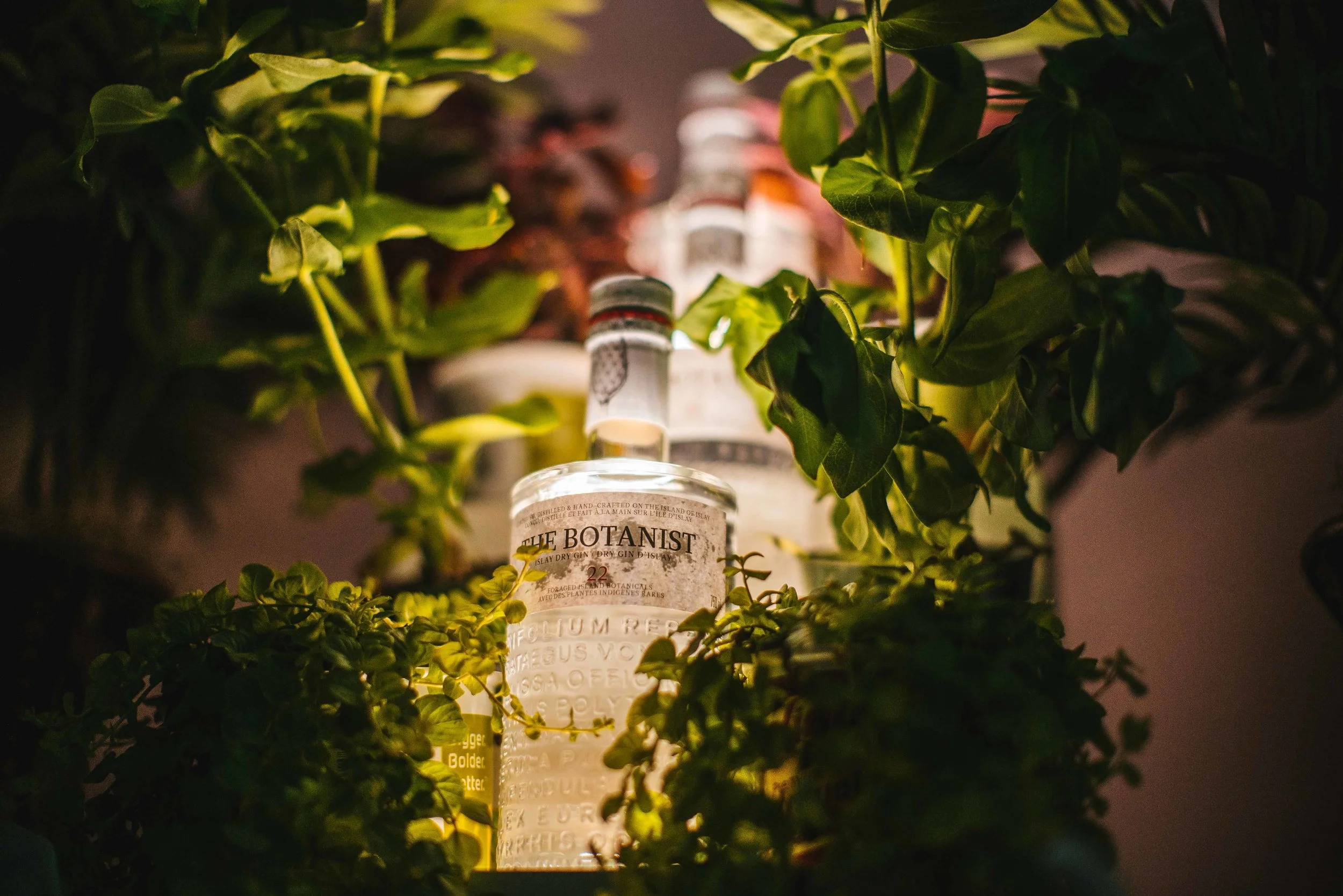 BOT PARTY (40 of 92).jpg