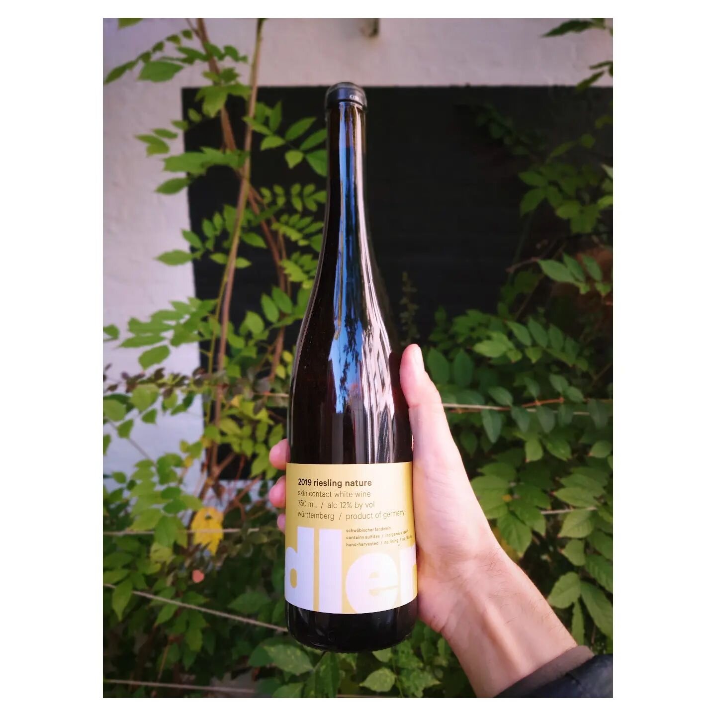 Opening a bright skin-contact Riesling from Weingut Idler to share today ⚡ @weingutidler 
Imported by @super_glou ❤️
Happy hour 'til 7pm!
$13 Any wine by the glass 
$14 Cocktails
$10 Bar Snacks
🍷@clement.lapeyssonnie
 👨&zwj;🍳 @chrisskoda
#accolade