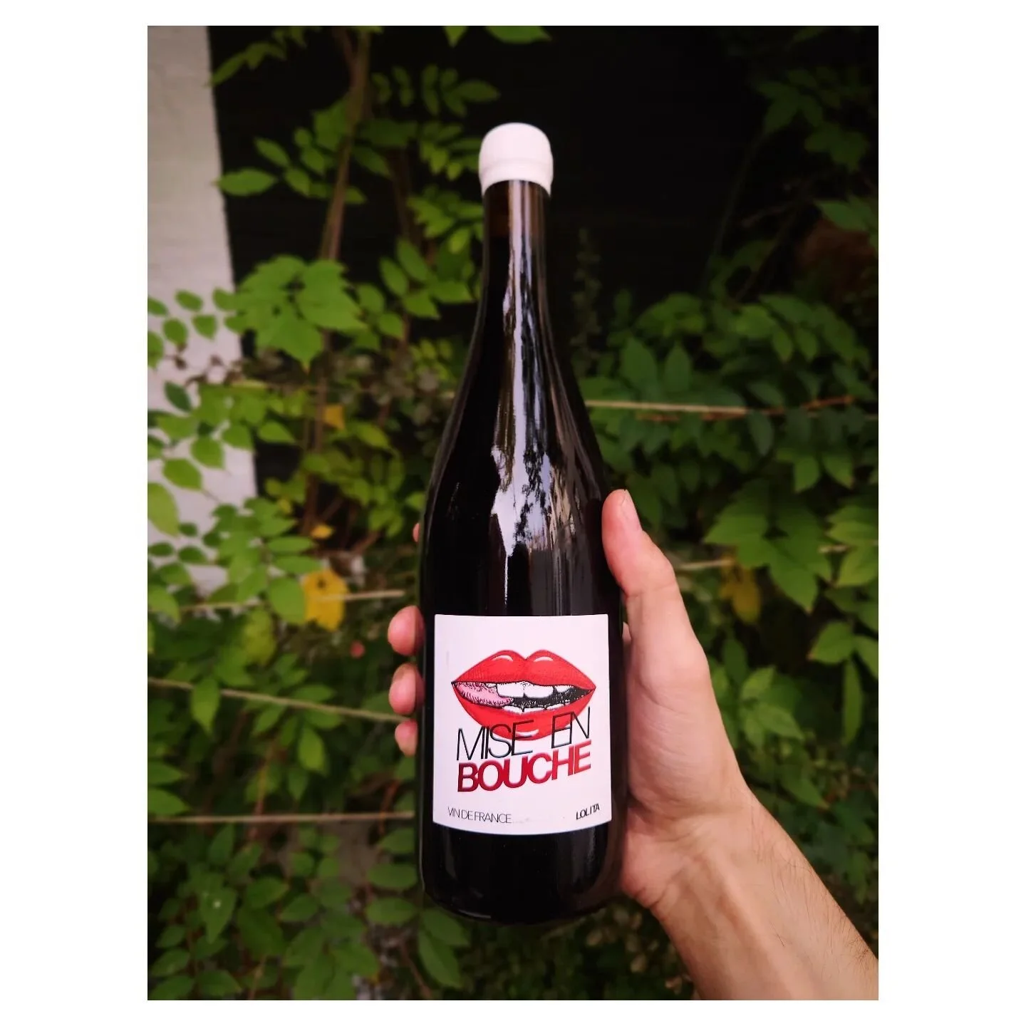 Opening Gard's new wave to share ❤️
From @lolitasene , in St Victor La Coste 
Happy hour 'til 7pm!
$13 Any wine by the glass 
$14 Cocktails
$10 Bar Snacks
🍷@clement.lapeyssonnie
 👨&zwj;🍳 @chrisskod 
Imported by @zevrovineselections
#accoladeny #la