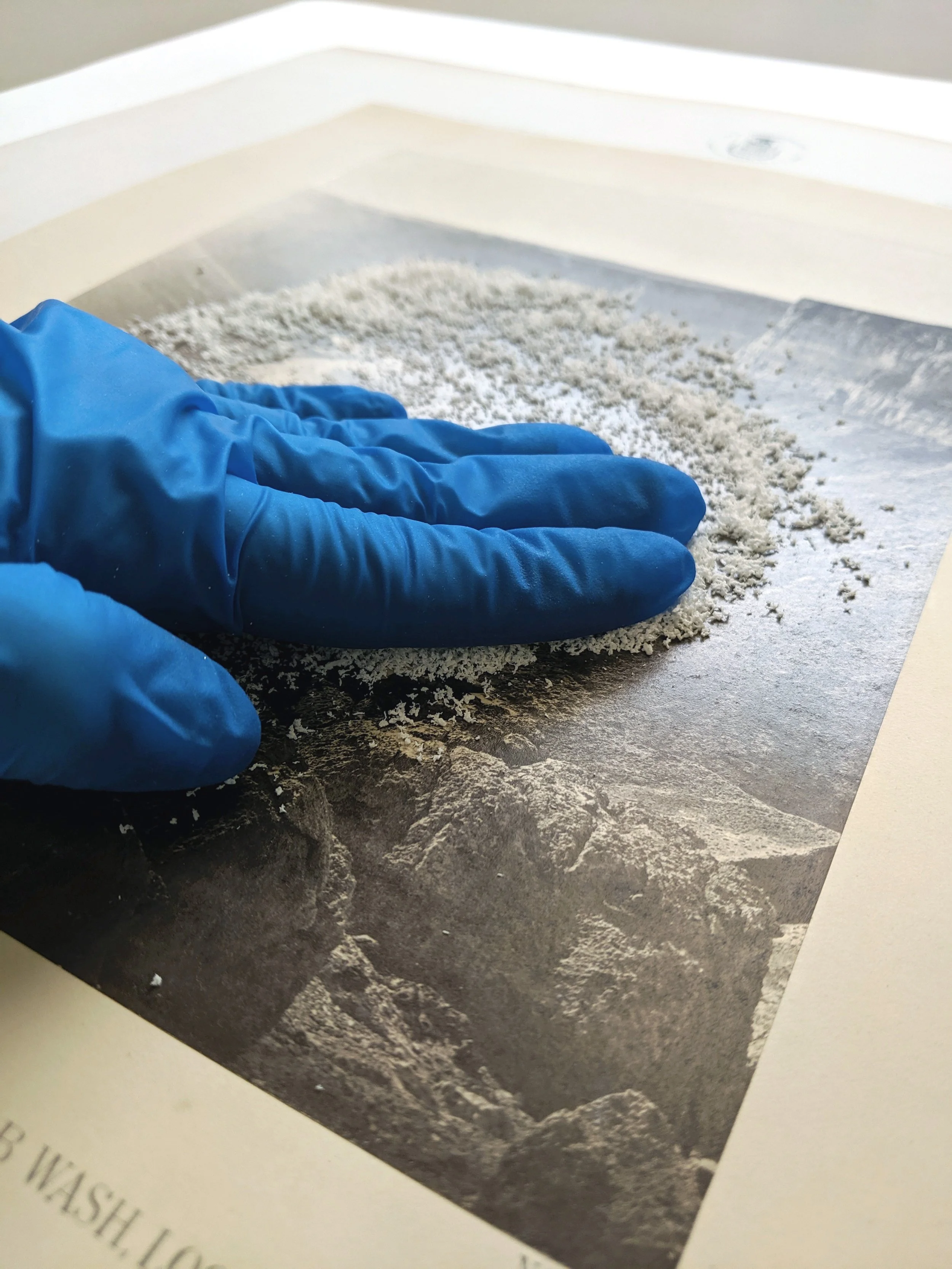 A hand in a blue glove moves white eraser crumbs over the surface of a photograph.